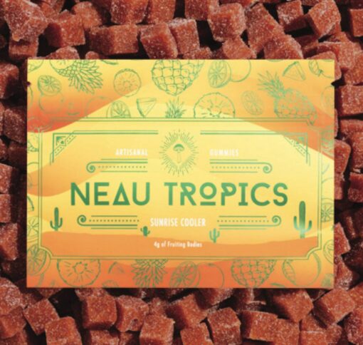 Neau Tropics Gummies for sale, Neau Tropics mushroom Chocolate available in stock, nootropic chocolate, neautropics, neau tropics chocolate Bars for sale
