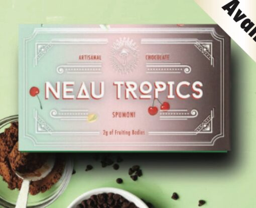 Neau Tropics Chocolate 2g, Neau tropics Artisanal Chocolate, new tropics mushrooms, psychedelic chocolate near me, ube chocolate bar, ube chocolate bars